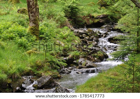 River in the valley, Yorkshire