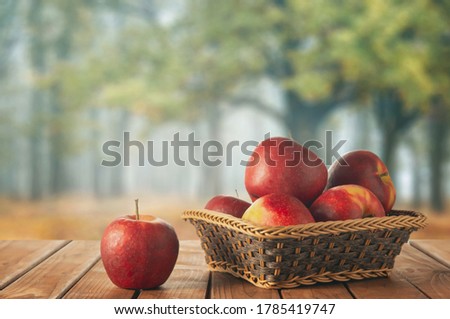 Apples in a basket against the background of an autumn garden