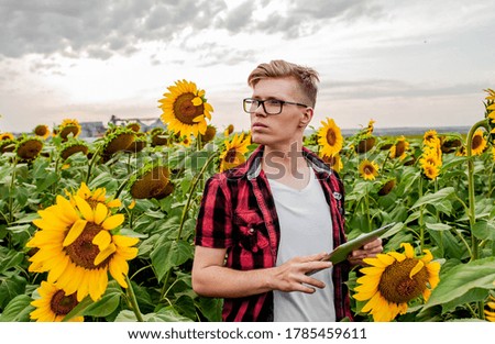 
The guy is holding a tablet in a field with sunflowers. Agriculture manager concept