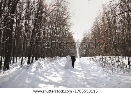 A newlywed wedding couple walks in winter along a snowy road in the middle of the forest. White long bridesmaid dresses and a photo on the girl and a black business suit on the man.