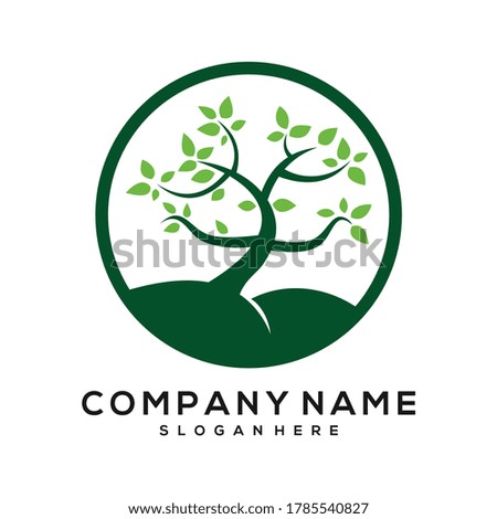 tree care vector, tree care logo, nature care logo
