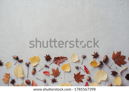 Autumn background, border made of dried yellow leaves, acorns and pine cones with copy space. Seasonal composition, fall, thanksgiving day concept. Flat lay, top view