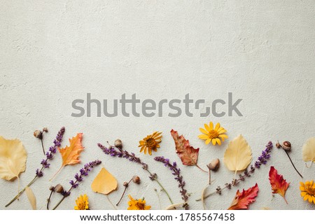 Autumn vibes. Template made of dried leaves and flowers on stone background. Seasonal background, fall concept, thanksgiving day composition. Flat lay, copy space