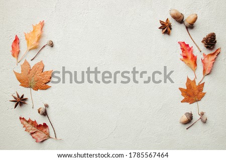 Autumn season abstract background. Fall yellow leaves frame on stone surface. Thanksgiving day, seasonal concept. Copy space. Royalty-Free Stock Photo #1785567464