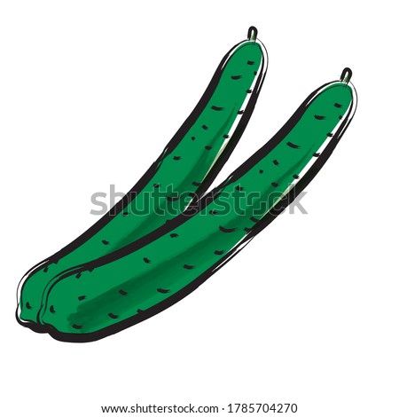 Analog touch brush painting watercolor cucumber illustration vegetable