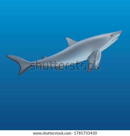 shark. Illustration decorative background design
