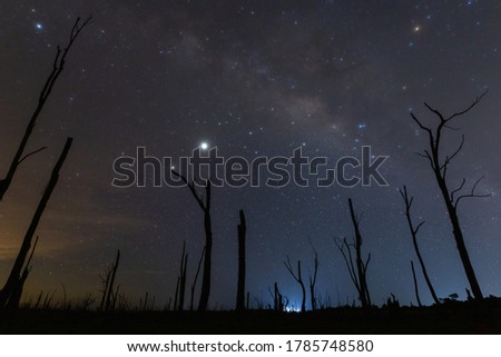 Stars and the Milky Way Night