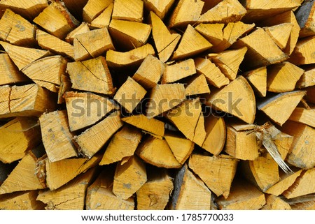 Firewood for the fire close-up