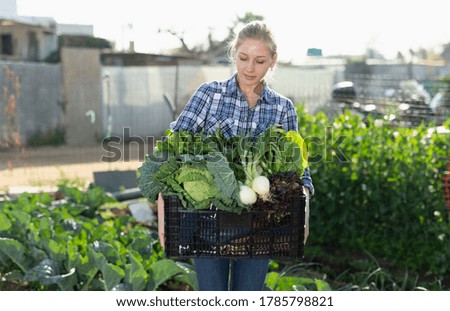 Portrait of blonde young woman holding box with harvest of green vegetables at her garden