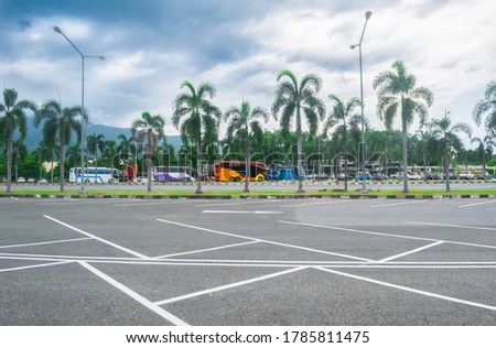 Wide empty asphalt parking lot background with yellow and white painted lines marked lens, outdoor empty space parking lot with palm trees and cloudy sky
