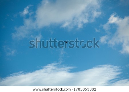 Vulture silhouette flying in blue sky with white clouds