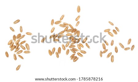 Spelt grains piles isolated on white background, top view Royalty-Free Stock Photo #1785878216