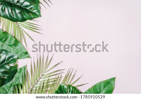 Tropical Jungle Leaves frame with copy space in centre. Pink background.