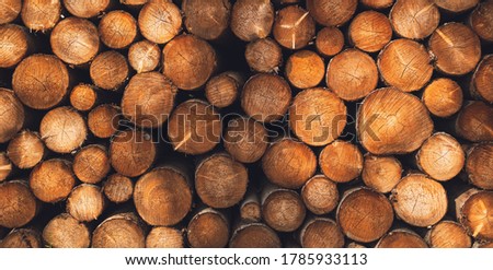 wooden logs lined up on top of each other