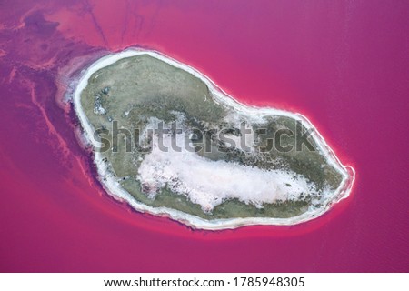 aerial view to salted island in pink lake in Ukraine