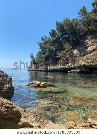 Charming rocky beach on the Adriatic. The purest clear sea. Pebble seabed. Idyllic summer picture. Calm crystalline water. Pine forest. Sea stones. Picturesque cliff. Scenic rocks.Mediterranean nature