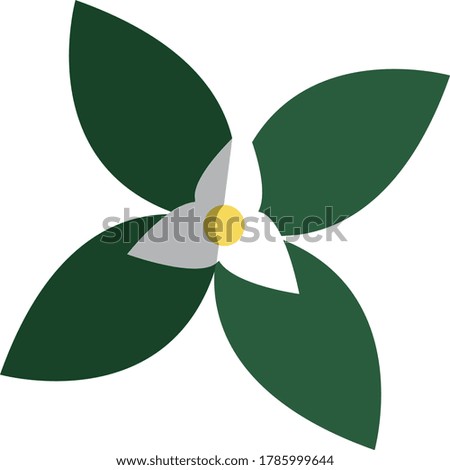 Flat vector plant with green leaves and white flower