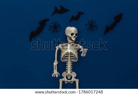 Halloween background, decorations and scary concept. Skeleton and spiders, black bats fly over classic blue dark background