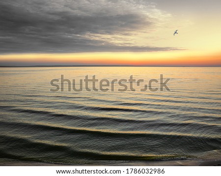 The picture was taken in Energodar, Ukraine on July 25, 2020 on the bank of the Dnipro river on a summer morning at dawn