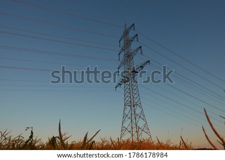 Large Electricity pylon also overhead line pylon stand in the oil radish Field, cables run diagonally through the picture, orange shimmer in the evening light, blue sky. Germany.