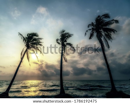 Island sunny tropical beach palm trees