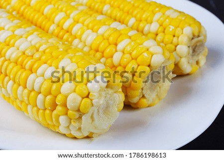 boiled corn on a white square plate, close-up, soft focus