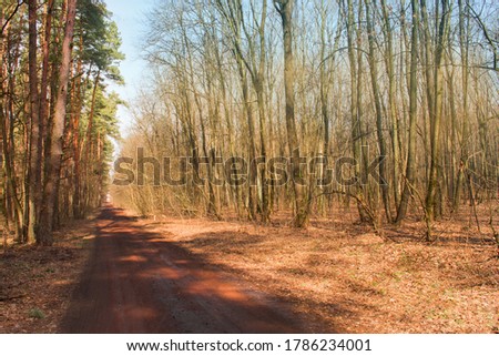 Autumn horizontal background. Autumn horizontal beautiful landscape with empty rural road.