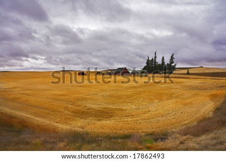 Small farm in fields of Montana after harvesting. More magnificent pictures from the American and Canadian National parks you can look hundreds in my portfolio. Welcome!