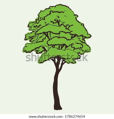Isolated simple cartoon green tree. Vector illustration