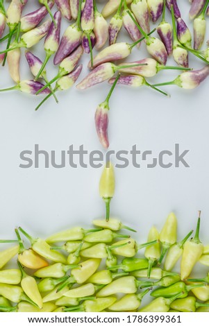Mini peppers on a white background. flat lay. 