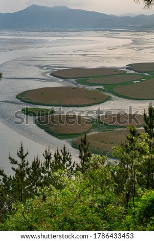 Green meadow and suncheon bay at sunset