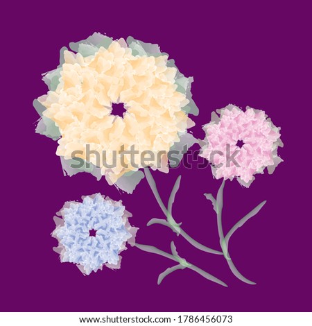 Background Beautiful  texture Pattern Paper Clip Art vector watercolor Aqua flowers yellow blue pink