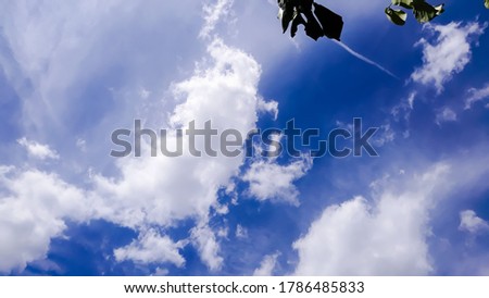 Fluffy white clouds float as you imagine. And the bright blue sky that is decorated with fluffy clouds In the upper right corner of the picture there are two green leaves. The photo focuses on the sky