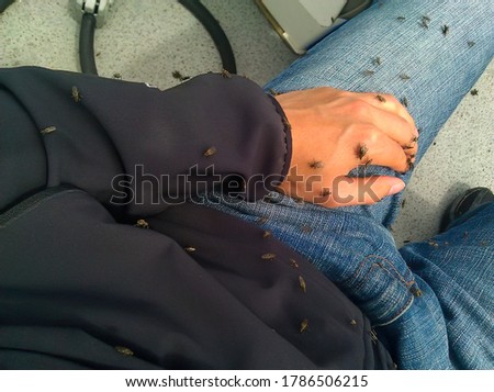 A swarm of black flies cover a man's hand and pants.