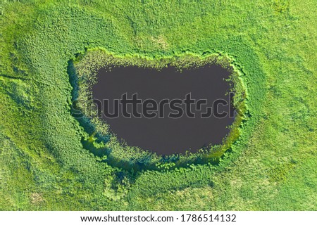 Natural lake among swampy areas, aerial view from drone
