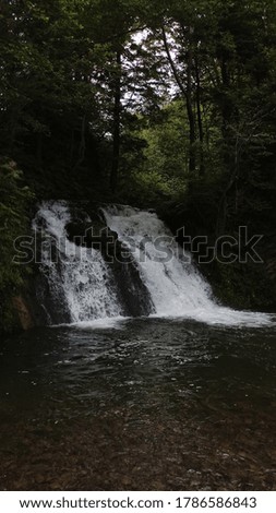 Mystical waterfall in the dark forest