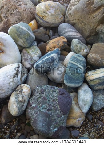 Composition of different pebbles from the beach of the Black Sea coast.