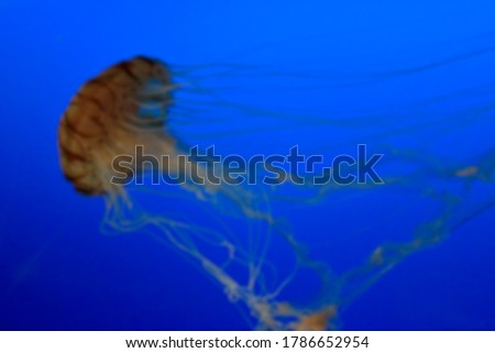 Blur picture  of a jellyship with blue background