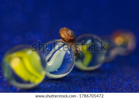 A snail sits on a glass ball. Dark background. High quality photo