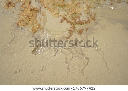 Sand watermark and pebbles with rock.