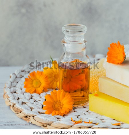 Natural cosmetic oil, tincture or infusion and natural handmade soap with calendula flowers on light grey background. Healthy skin care. Aromatherapy, spa and wellness concept
