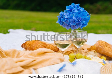 Summer picnic on sunny day with bread, fruit, bouquet hydrangea flowers, glasses wine, straw hat, book and ukulele. Picnic basket on grass with food and drink on white knit blanket. Selective focus.