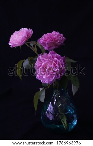 Three pink roses in a glass vase with blackbackground. Royalty-Free Stock Photo #1786963976