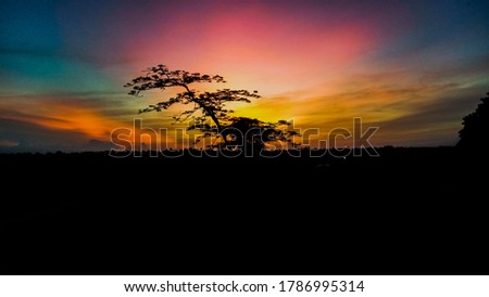 Beautiful Blacky Sunrise Picture with Tree.