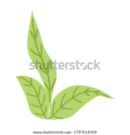 leaves plant vegetation botanical cartoon isolated icon design vector illustration