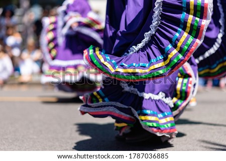 
Detail of a Folklorico Street Dancers Dress during a parade 