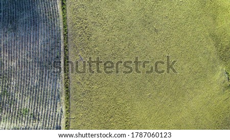 Lavender meadows in open countryside. Amazing aerial view in summer season.