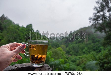 hand holding teacup with topical green jungle background, mist and gray sky in rainy cool morning, copy-space.