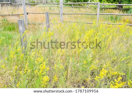 old wooden fence. Old fence on a background of grass. Fencing in the village. Ranch