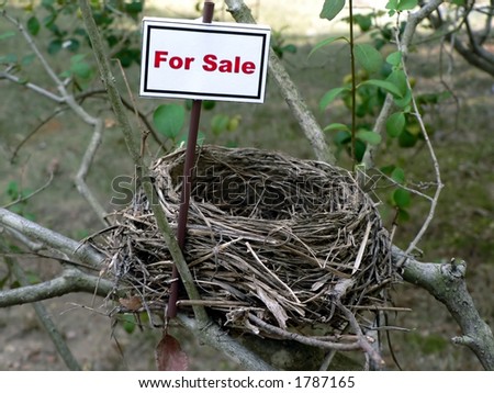 real estate market concept photo of a bird nest